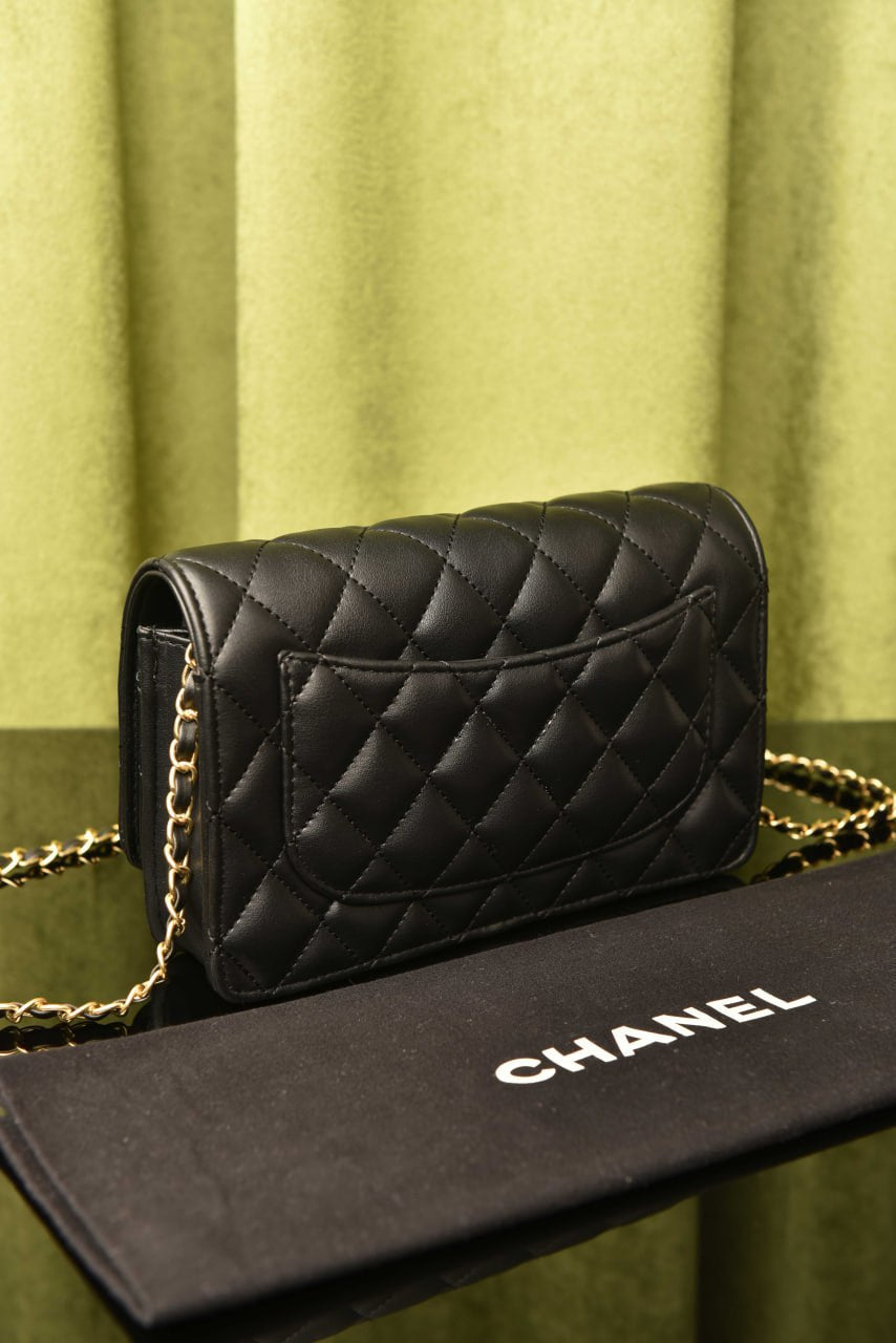 Wallet On Chain