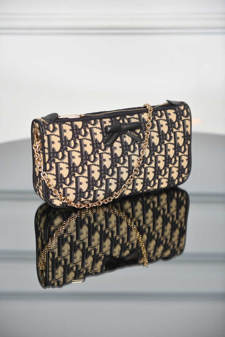 'D- Promenade Pouch with Chain