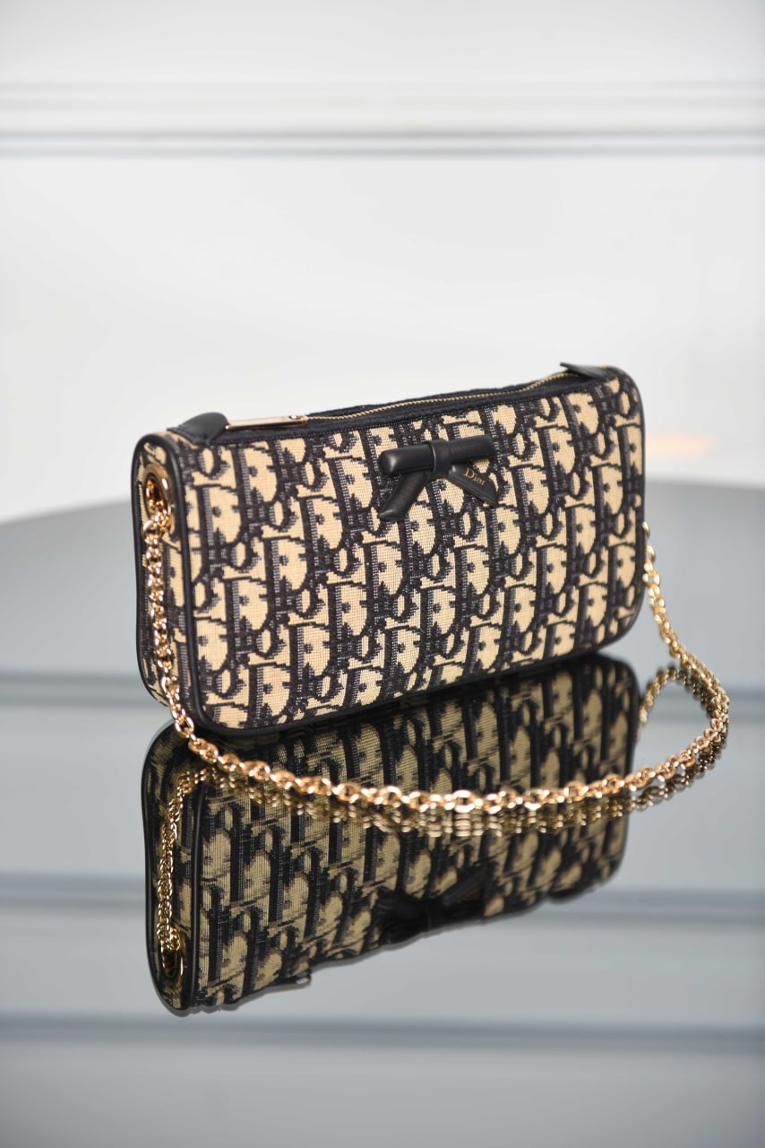 'D- Promenade Pouch with Chain
