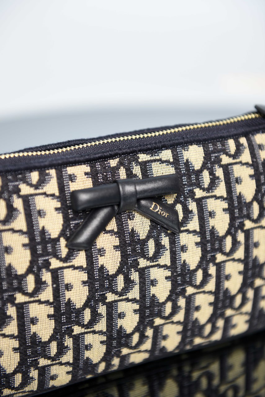 'D- Promenade Pouch with Chain