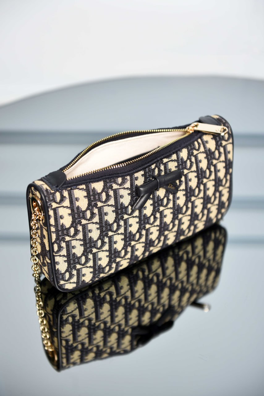 'D- Promenade Pouch with Chain